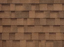 cambridge Dual Brown