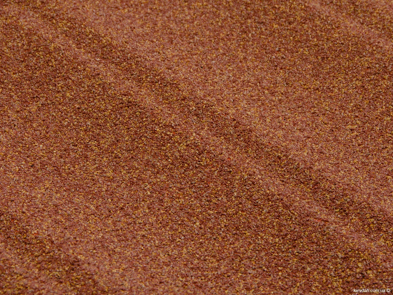Terracotta