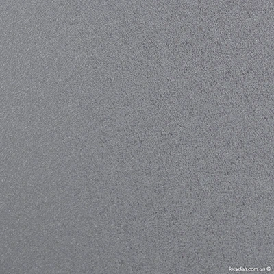 RAL7005