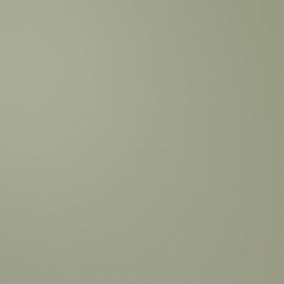 RAL6013
