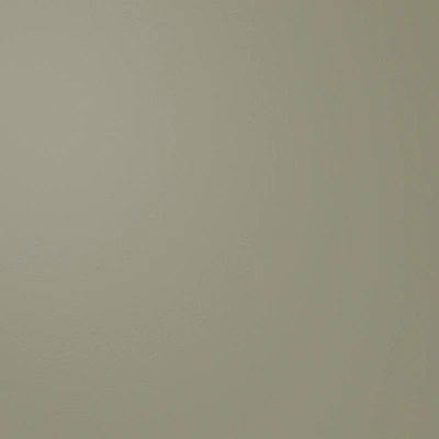 RAL6013