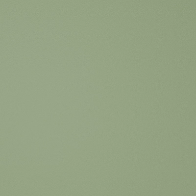 RAL6021